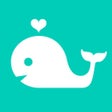Icon of program: swell yeah! - what's your…
