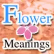 Icon of program: Flower Meaning Dictionary