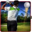 Icon of program: Real Golf Master 3D Free