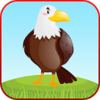 Icon of program: Bird Sounds Fun Learning …
