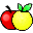 Icono de programa: PL/SQL Developer