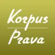 Icon of program: Korpus Prava. Analytics