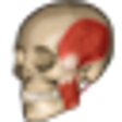 Icon of program: Anomalous Medical
