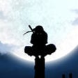 Icon of program: Ninja Academy