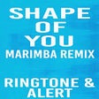 Icon of program: Shape of You Marimba Ring…