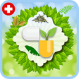 Icono de programa: Natural Home Remedies and…