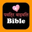 Icon of program: Hindi-English Bilingual S…