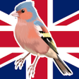 Icon of program: British Birds (Guide)