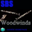 Icon of program: Woodwinds Caustic Soundpa…