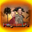 Icon of program: Magnum and Higgins Find T…