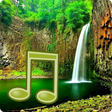 Icon of program: Jungle Sounds - Nature So…