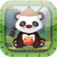 Icon of program: Panda Sensei- An Extreme …
