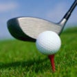 Icon of program: Golf Stroke Counter