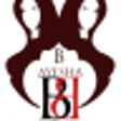 Icono de programa: B. Ayesha Inc ~ The App