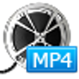 Icon of program: Bigasoft MP4 Converter