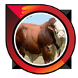 Icono de programa: fattening beef cattle