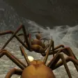 Icon of program: Spider Colony Simulator