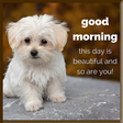 Icon of program: Good Morning Gif Stickers