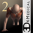 Icon of program: iMuscle 2 for Windows 10