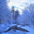 Icono de programa: SaversPlanet Spring River…