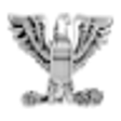 Icon of program: US Military Ranks