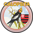 Icono de programa: CALOPSITA - FLA