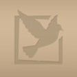 Icon of program: Control Panel for Diapro …