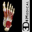 Icon of program: Ankle and Foot Pro III