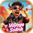 Icono de programa: Voyage Solink