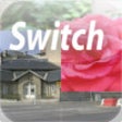 Switch icon
