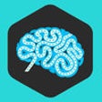Icon of program: The Brain - Are you geniu…