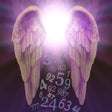 Icon of program: Angel Number Signs