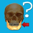 Icon of program: Anatomy Quiz