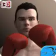 Icon of program: Real Boxing Legend