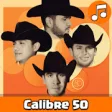 Icon of program: Calibre 50 - New Songs (2…