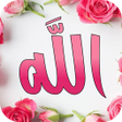Icon of program: Allah Name Live Wallpaper…