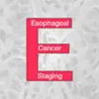 Icon of program: Esophageal Cancer Stage