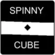 Icon of program: spinny cube