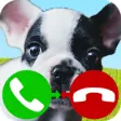 Icon of program: fake call dog game 2