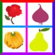 Icon of program: Fruits,Vegetables and Flo…
