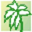 Icono de programa: Database Oasis