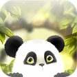 Icono de programa: Panda Chub Live Wallpaper…