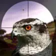 Icon of program: Bird Hunter 3D 2015