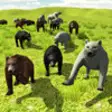 Icon of program: Bear Invasion