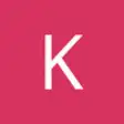 Icon of program: QuickExpenses for Kashflo…