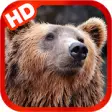 Icon of program: Bears - Free HD Wallpaper…