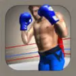 Icon of program: Steely Boxer