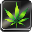 Icono de programa: Weed Live Wallpaper