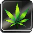 Icon of program: Weed Live Wallpaper