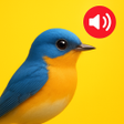 Icon of program: WildTone-Sounds-of-the-Wi…
